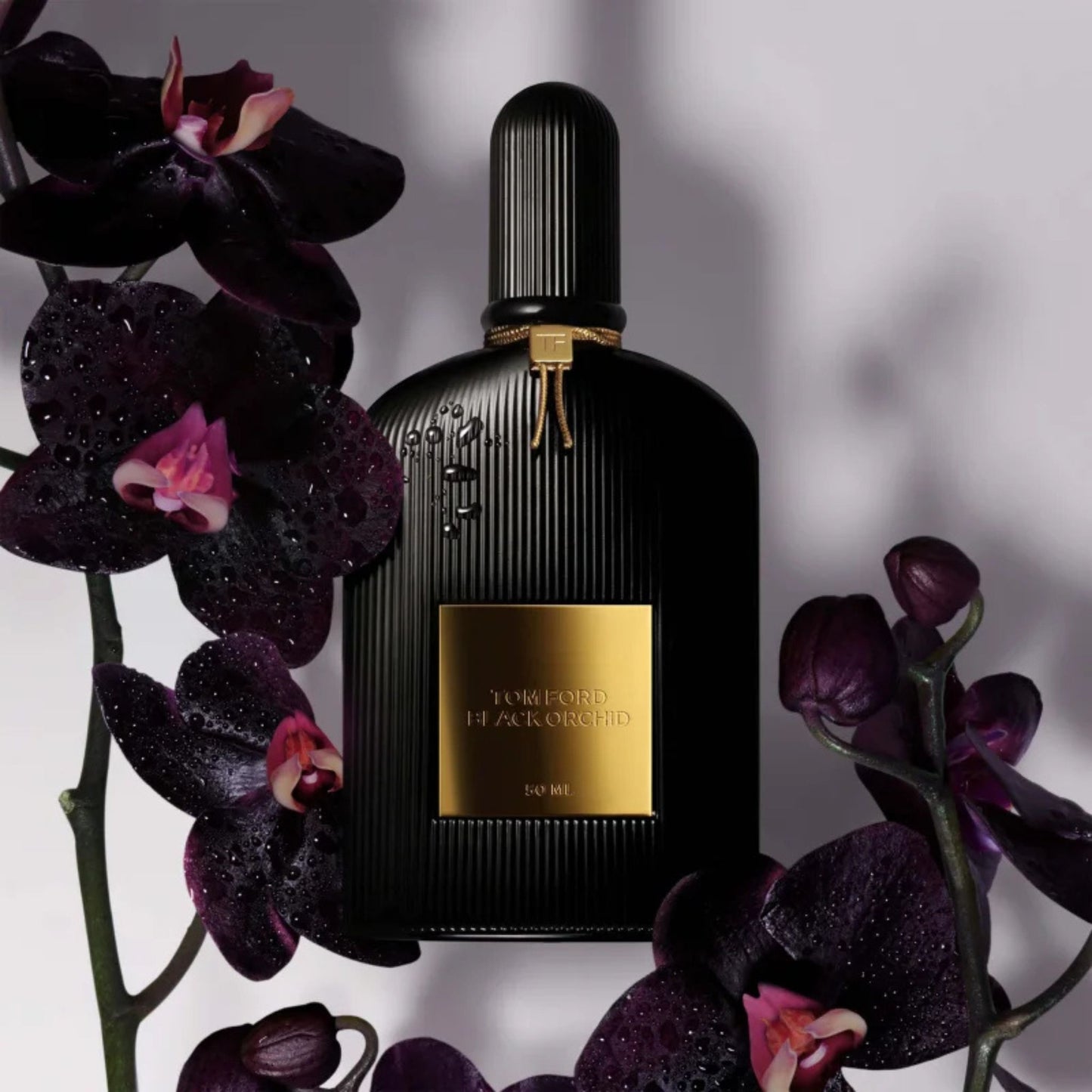 Black Orchid - 100 ML